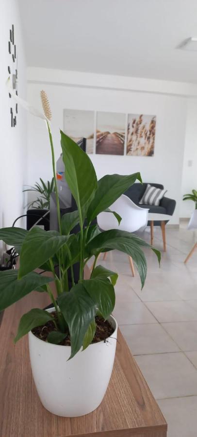 Alojamientos Litoral - 3 B Gualeguaychú Екстериор снимка